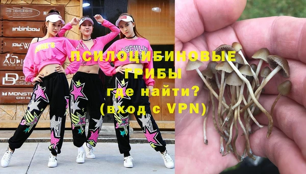 МДМА Белокуриха
